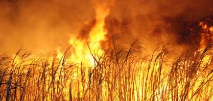 ABAG/RP, Usinas e Produtores Rurais iniciam Campanha de Conscientização, Prevenção e Combate aos Incêndios no Campo