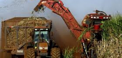 Um pacto nacional de longo prazo para os biocombustíveis e a bioeletricidade