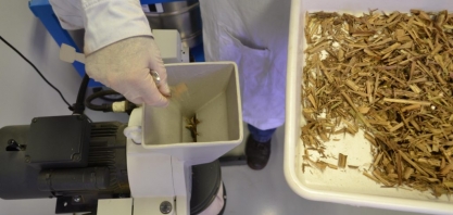 PNUD incentiva uso da palha de cana-de-açúcar na produção de energia elétrica