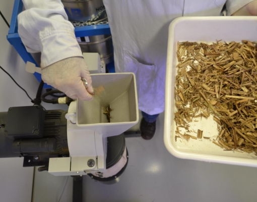 Palha é moída por integrantes do SUCRE para preparo da amostra para análise de impurezas minerais. Foto: Assessoria SUCRE/CTBE