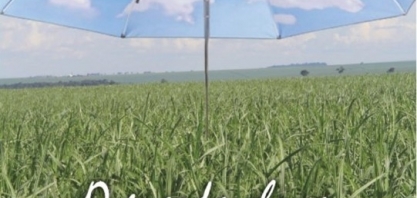 O guarda-chuva Muda Cana