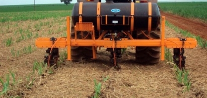 O controle do Sphenophorus levis em cana-soca