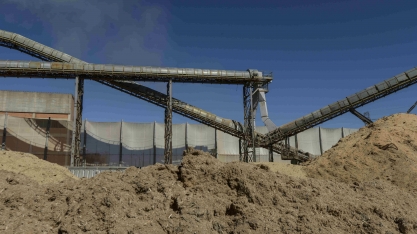 Produtora de eletricidade com biomassa mira expansão no Brasil