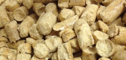 Setor procura novos usos para a biomassa da cana-de-açúcar