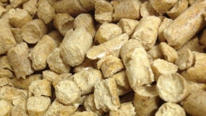 Setor procura novos usos para a biomassa da cana-de-açúcar