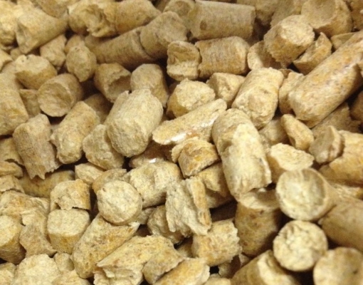 A estimativa é de que o Japão deverá importar entre dez e vinte milhões de toneladas de biomassa peletizada até 2030