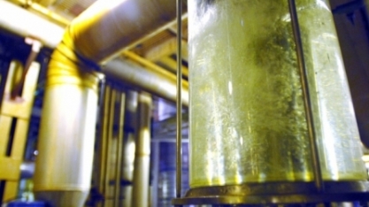 IPT lança programa exclusivo para setor sucroenergético