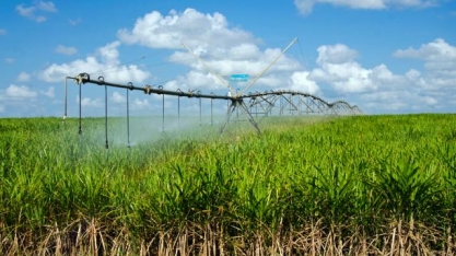 Irrigação ainda é pouco utilizada para ampliar a produtividade dos canaviais