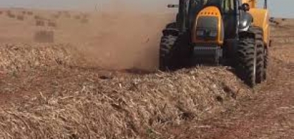 Bioeletricidade a partir da palha de cana-de-açúcar: reflexões sobre o Marco Regulatório