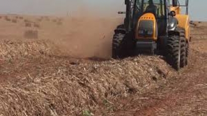 Bioeletricidade a partir da palha de cana-de-açúcar: reflexões sobre o Marco Regulatório