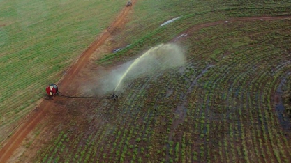 Subproduto do etanol, vinhaça pode ser usada para geração de energia