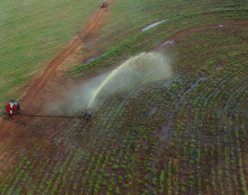 Lavoura com aplicação de vinhaça – Foto: Jarbas Yurasseck / Wikimedia Commons