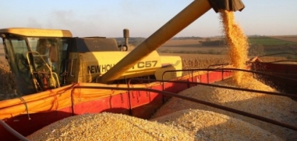 Barra do Garças poderá ter usina de etanol de milho
