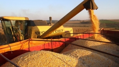Barra do Garças poderá ter usina de etanol de milho
