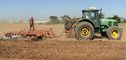 Reforma do canavial é o momento ideal para a redução do banco de sementes de plantas daninhas
