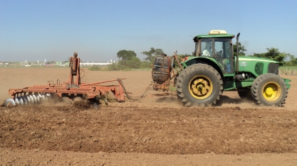 Reforma do canavial é o momento ideal para a redução do banco de sementes de plantas daninhas