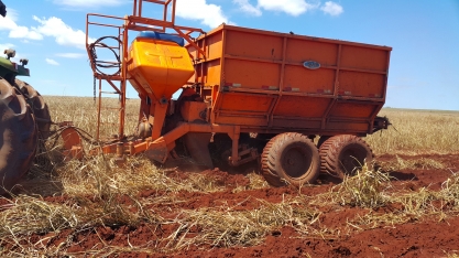 Os benefícios da aplicação de torta de filtro no canavial