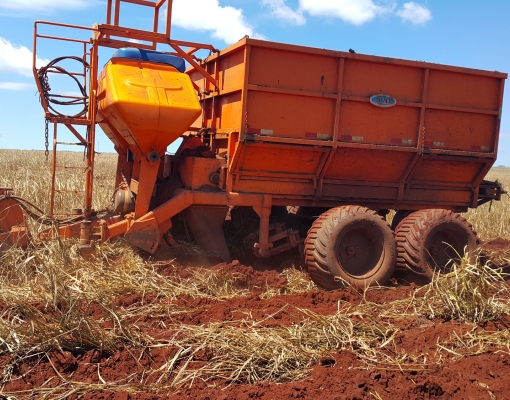 Carreta Plantando Torta
