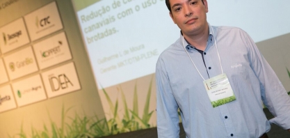 Por um canavial sem falhas