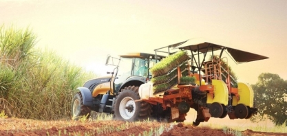 Dia de Campo AgMusa™, realizado pela BASF durante a Agrishow 2017, traz dicas sobre o replantio