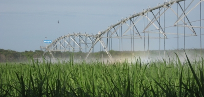 ANA mapeia área irrigada de cana para ajudar na gestão dos recursos hídricos