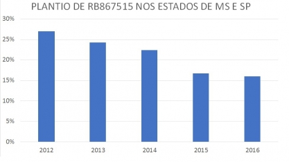 Embora ainda seja a mais colhida, 7515 deixa o posto de mais plantada