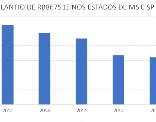 GRÁFICO PLANTIO 7515. Fonte: RIDESA