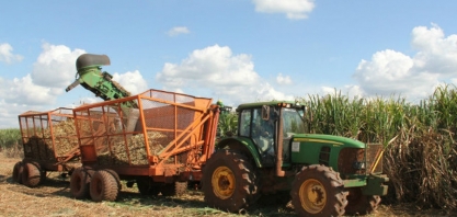 Encontro reúne profissionais que investem em cana-de-açúcar em Dourados