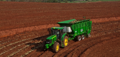 Renovação de canaviais volta a crescer