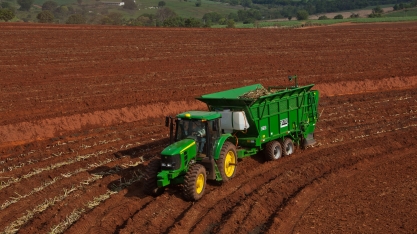 Renovação de canaviais volta a crescer