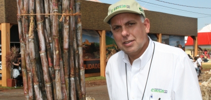 IAC lança, em junho, duas novas variedades de cana