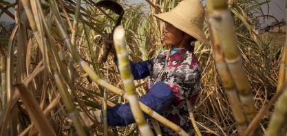 China deve vender 200 mil toneladas dos estoques internos de açúcar ainda hoje
