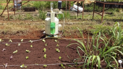 Irrigador solar é testado em canteiro de cana-de-açúcar em fazenda da Apta