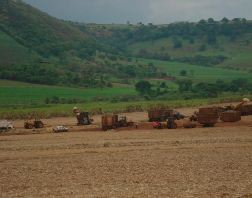 Guilherme Castro Belardo defende a sistematização das áreas