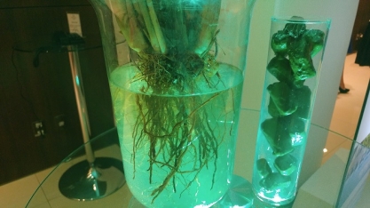 Quando o Plene Emerald chegará ao mercado