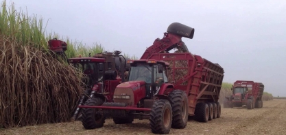 Tardou, mas a safra vira definitivamente ao etanol