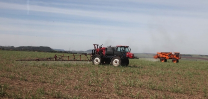 Será que vale a pena utilizar molécula mais barata para controlar plantas daninhas nos canaviais?