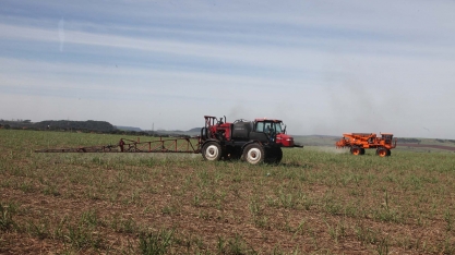 Será que vale a pena utilizar molécula mais barata para controlar plantas daninhas nos canaviais?