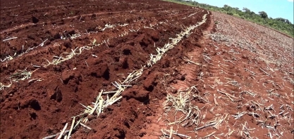 Espaçamento e profundidade na formação do canavial