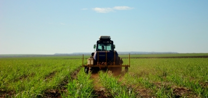 Uso de fungicidas foliares pode ser a saída para a obtenção de aumentos significativos na produtividade dos canaviais