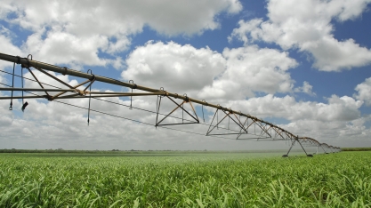 Estudo realizado na ESALQ/USP avaliou a rentabilidade de um sistema de irrigação por pivô linear móvel de cana