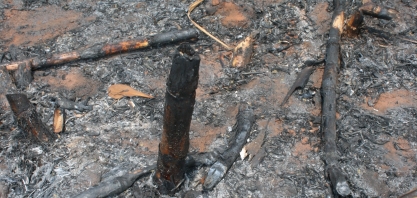 Confira medidas para controlar os incêndios nos canaviais