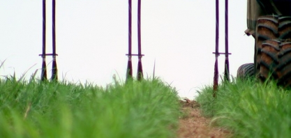 Usina investe em sistema que reduz proliferação de moscas nos estábulos