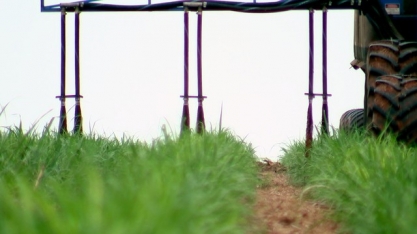 Usina investe em sistema que reduz proliferação de moscas nos estábulos