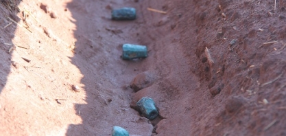 Usinas vão ajudar a desenvolver a plantadora do Plene Emerald