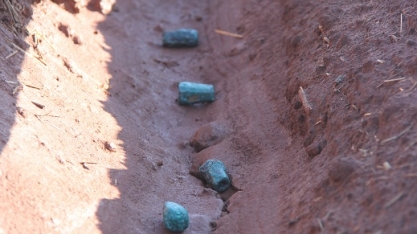 Usinas vão ajudar a desenvolver a plantadora do Plene Emerald