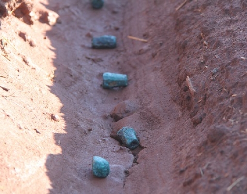 Plantio do Plene Emerald será feito com menos máquinas e com apenas 200 quilos de sementes artificiais por hectare