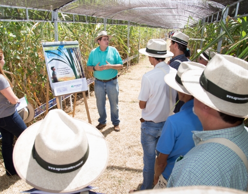 Mais de 1600 pessoas participaram da quarta edição do AgroEncontro®, a maioria produtores de cana Crédito: Alê Carolo – Divulgação Ourofino