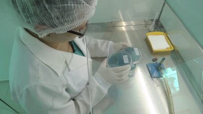 Saiba quais são os Quatro Pilares da Fermentação Inovativa
