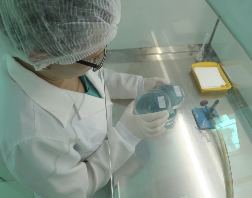 Afermentação precisa de inovação NA PRÁTICA